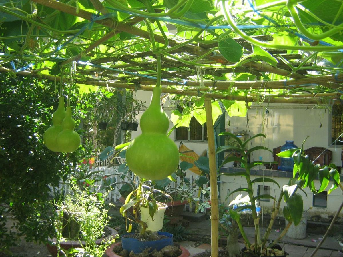 Coco Happy Farm Villa Ben Tre Kültér fotó