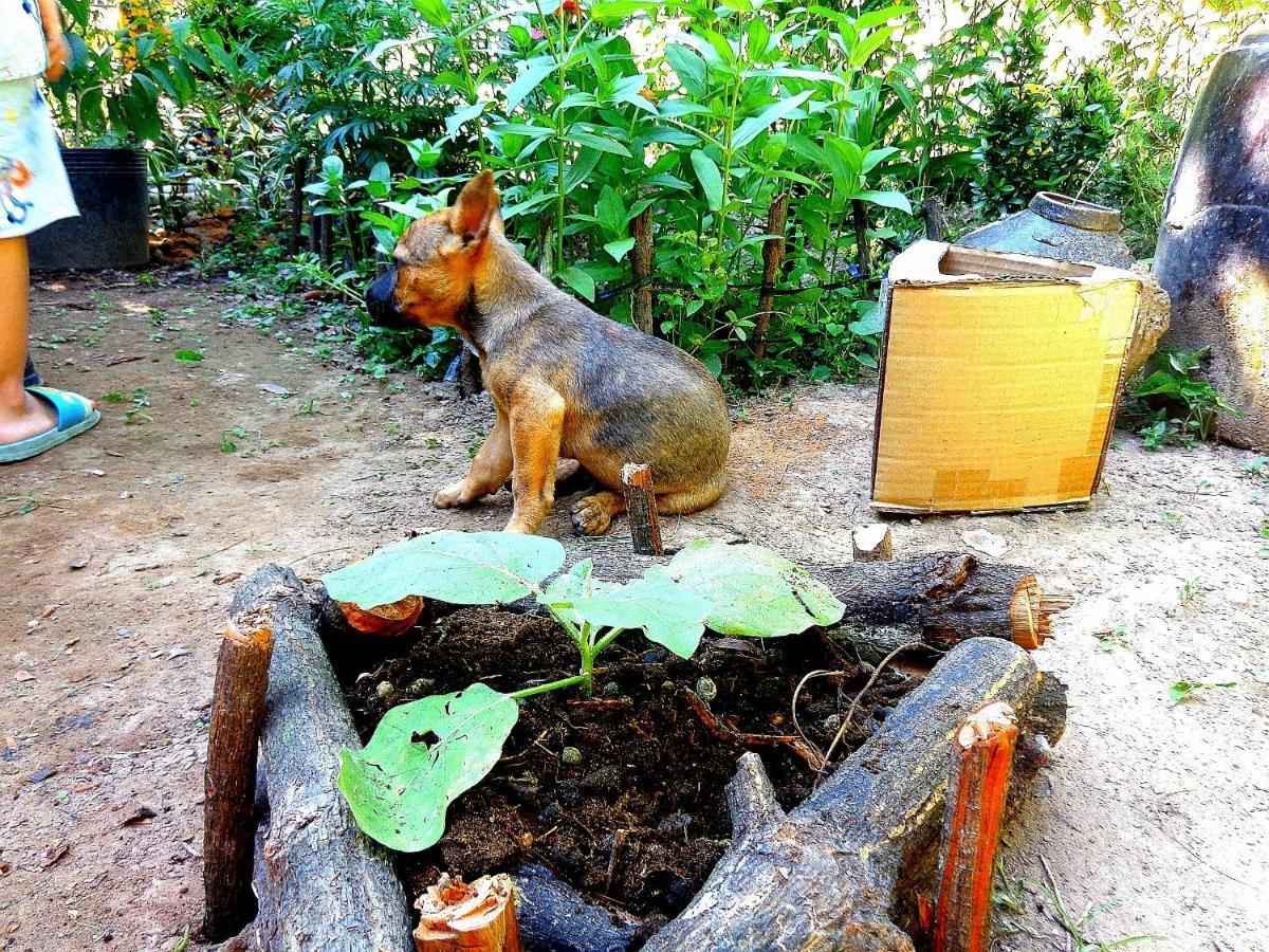 Coco Happy Farm Villa Ben Tre Kültér fotó