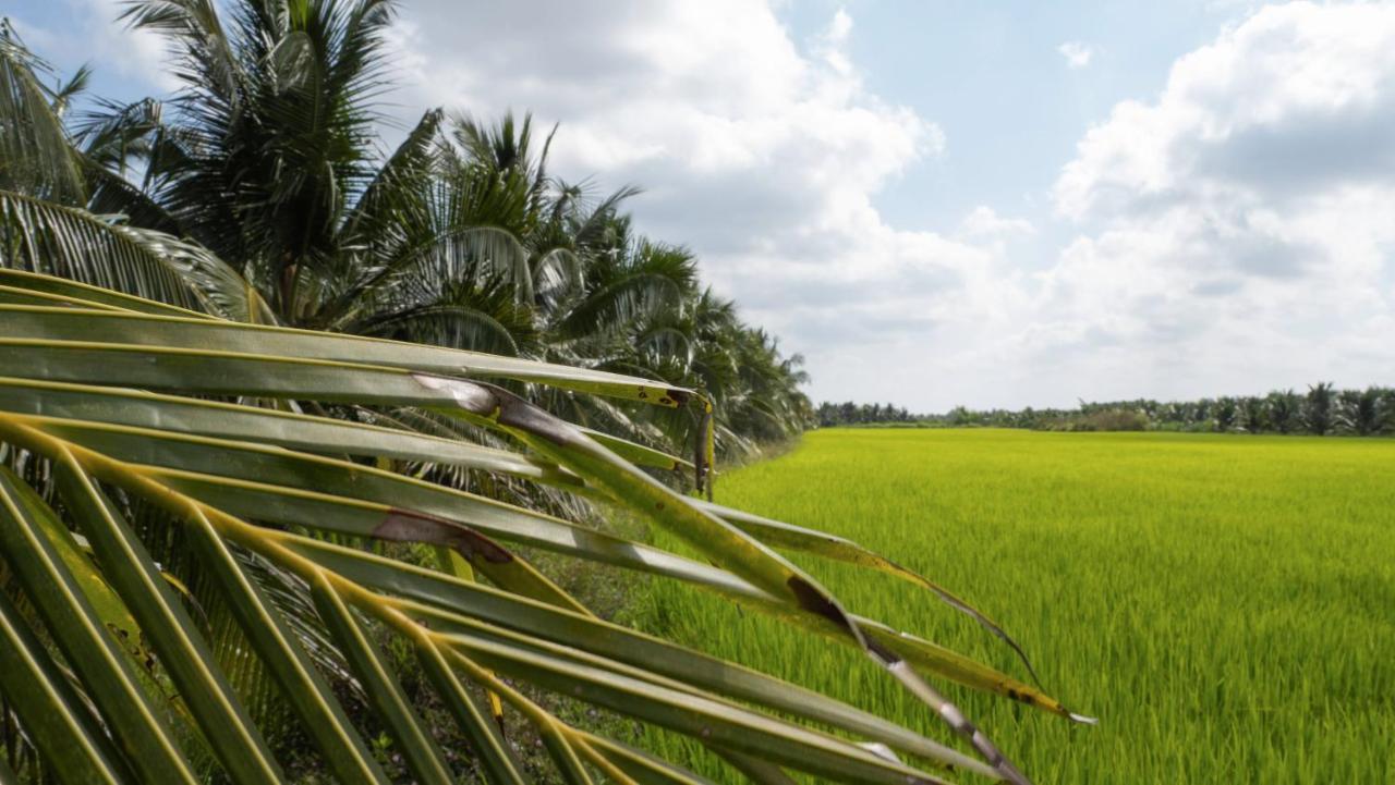 Coco Happy Farm Villa Ben Tre Kültér fotó