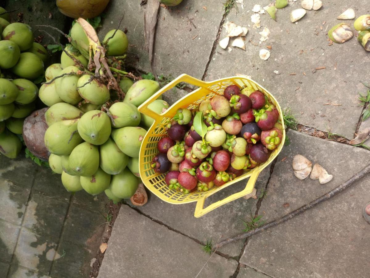 Coco Happy Farm Villa Ben Tre Kültér fotó