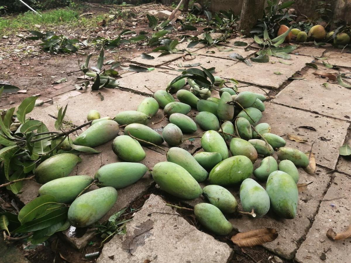 Coco Happy Farm Villa Ben Tre Kültér fotó