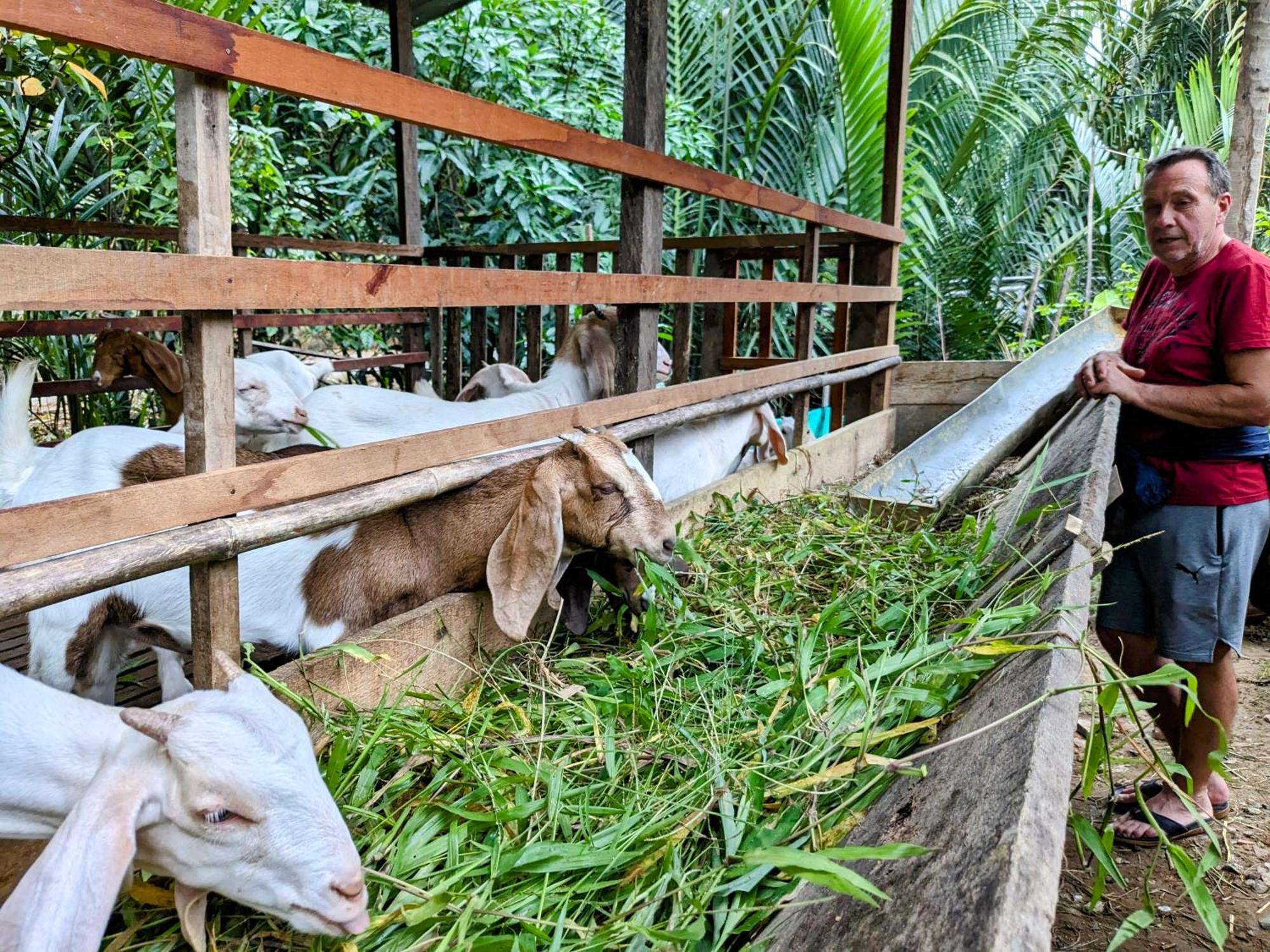 Coco Happy Farm Villa Ben Tre Kültér fotó